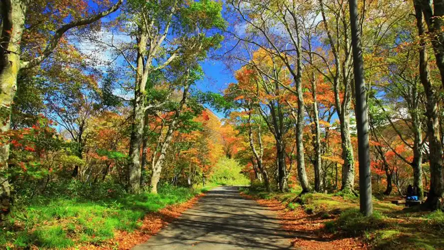 清新黄昏美景唯美高清桌面壁纸