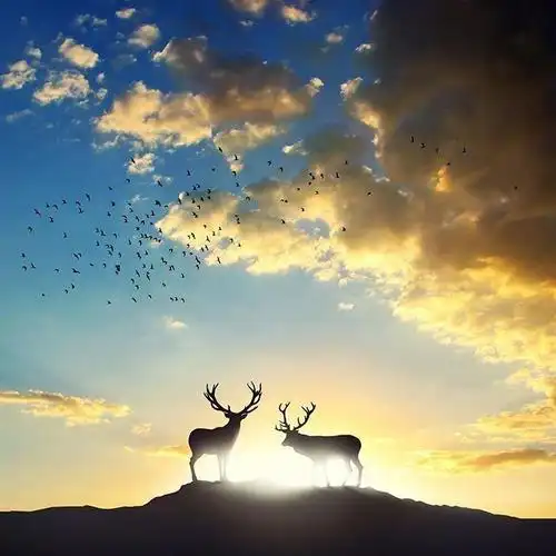 qq个性签名哲理句子有深度有品位早看早受益