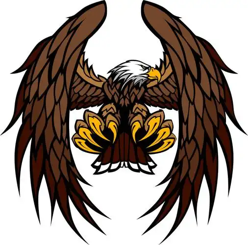 抽象矢量卡通展翅的老鹰插图