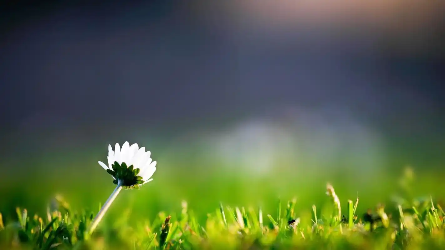 首页 桌面壁纸 精选自然风光高清电脑壁纸上一张下一张查看原图