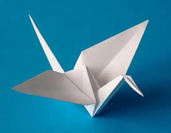 桓仁县雅河小学·王艺涵·折纸作品《千纸鹤》