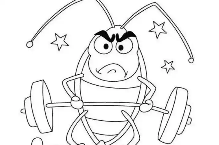 杀虫剂杀蟑螂有效果吗