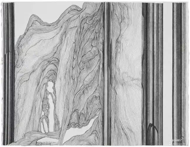 延绵的线条 80后艺术家孟丽萍作品在798展出