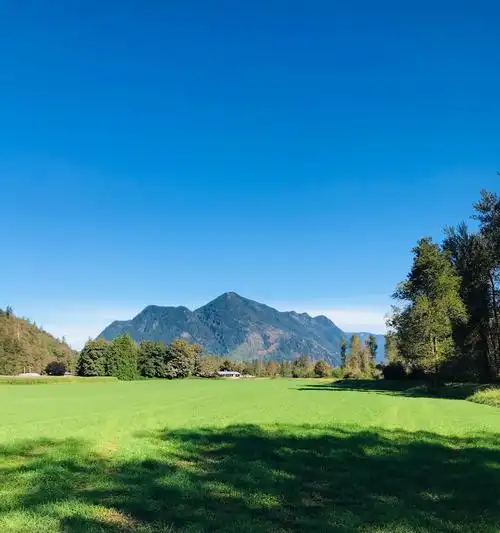 写美篇连续几天阴雨天气之后,终于又是阳光灿烂,晴空万里的好天气