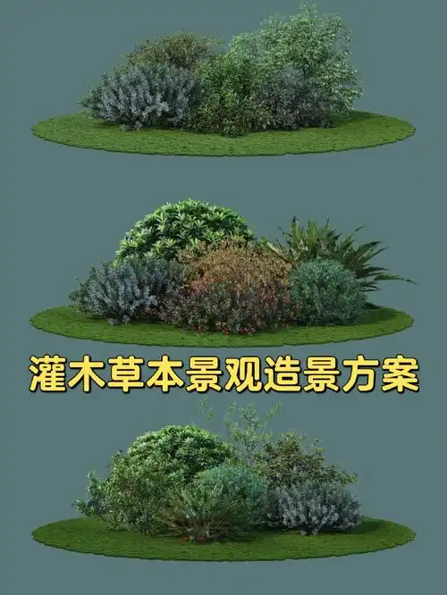 植物笔记>灌木草本植物造景 花园庭院景观