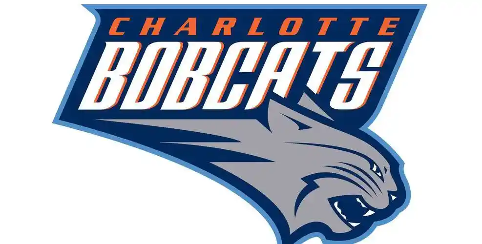 nba球队数量名称变化(nba球队数量名称变化,36年前仅23队,山猫黄蜂