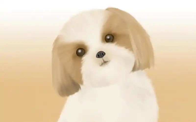 手绘卡通小狗,高清图片,电脑桌面-壁纸族