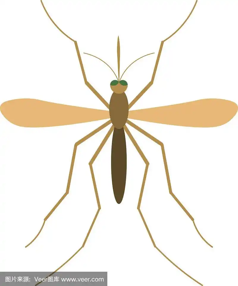 蚊子矢量插图.