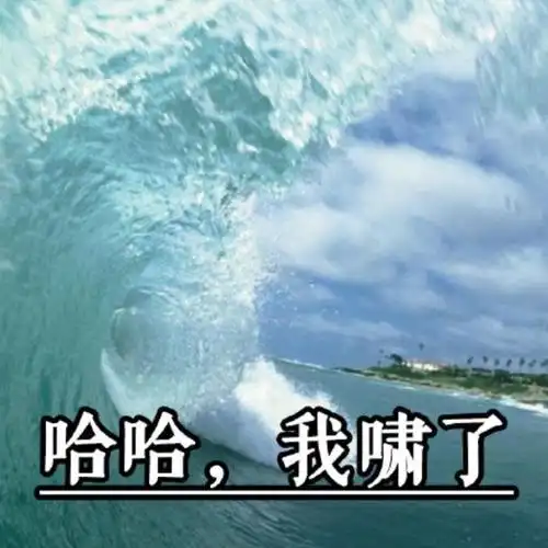 网络最火搞笑图片热门搞笑表情包50张