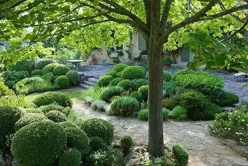 原本杂乱无章的灌木经过设计师之手尽可以这么美