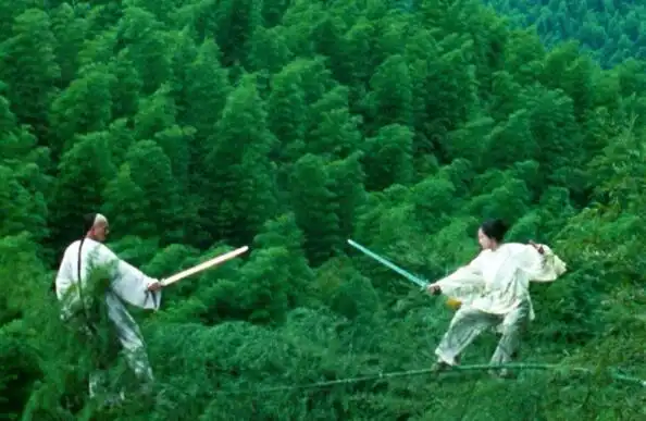 卧虎藏龙竹海拍摄地在哪里