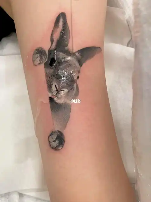 北京纹身  #小清新纹身  #我的纹身分享  #萌宠兔子  #陈洁