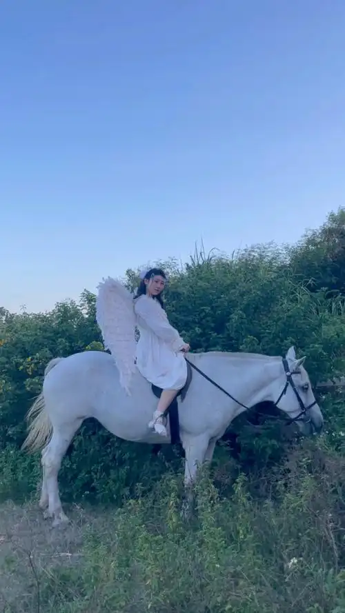 白马 #天使 #身骑白马 #写真