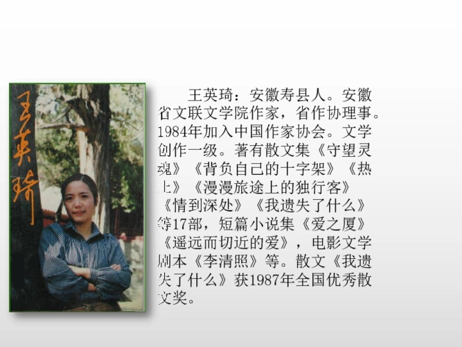 14圆明园的毁灭课件29张ppt