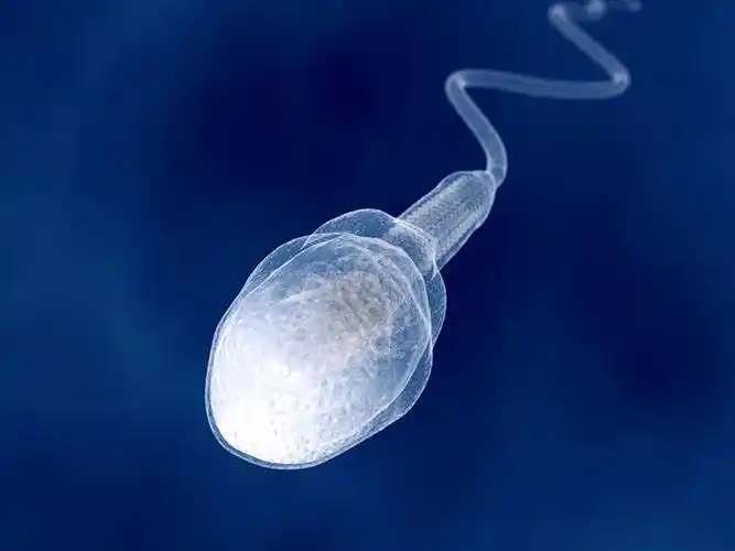 死精症精子是什么颜色的?_三代试管助孕公司