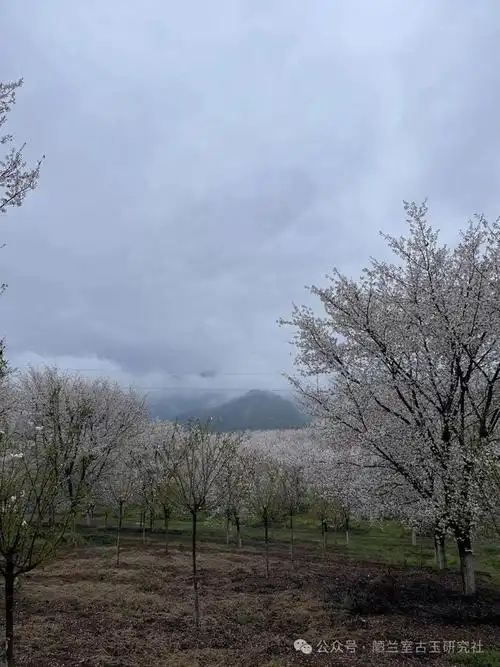 古玉收藏行家是如何炼成的一百二十七塖州市古董市场即存厮杀也见修养