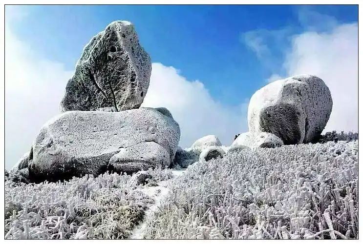 宜丰县人民政府_ 官山(国家级自然保护区)