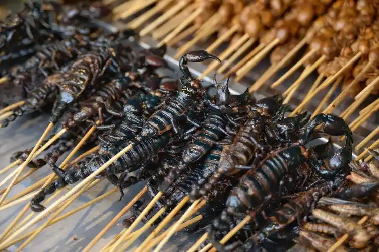 北京王府井小吃街的活蝎子25元一串,拍照的人多,吃的人却很少