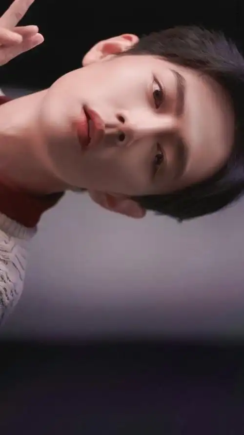 人间理想肖战壁纸