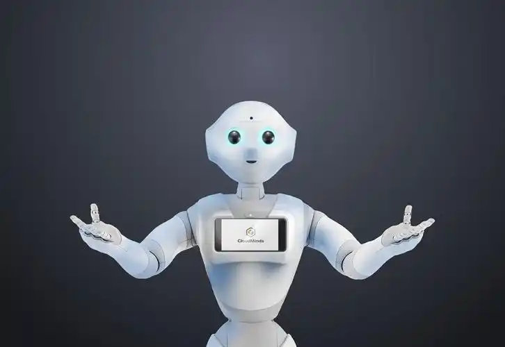 pepper机器人|人形 /人声 /人性机器人