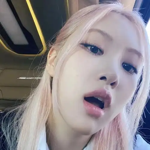 有没有朴彩英的头像