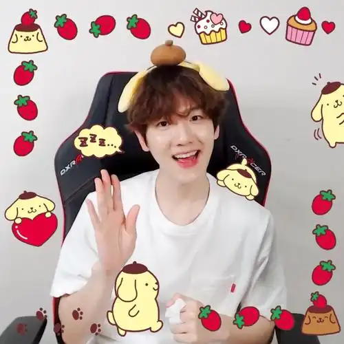 baekhyun边伯贤crflatbbh