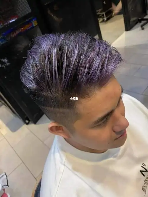 男生挑染 紫灰色