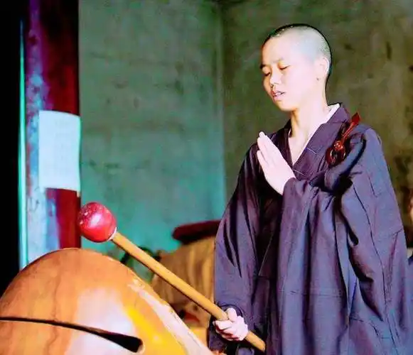 为什么哪怕是在今天,依旧会有那么多人看破红尘,选择跳出五行之外生活