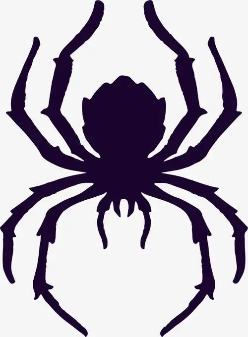 矢量蜘蛛-快图网-免费png图片免抠png高清背景素材库kuaipng.com