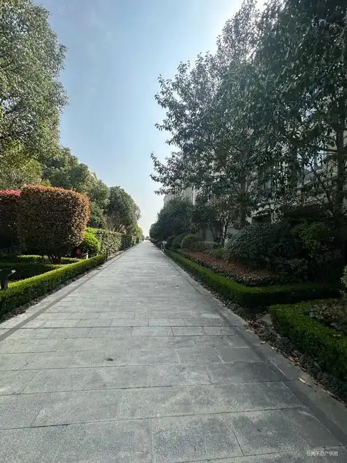 松江汤臣一品 自带3车位 207平 开发商装修 4房,绿城兰园(公寓住宅)