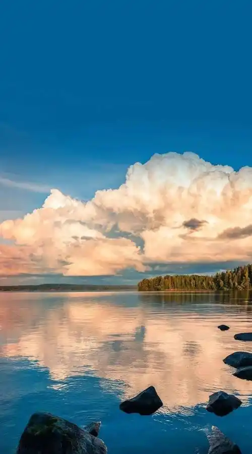 壁纸| ins风高级感壁纸来咯