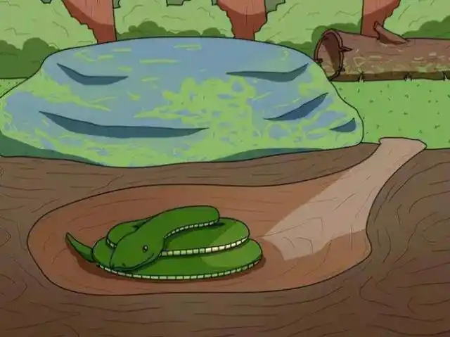 冬眠的蛇真的毫无抵抗力吗?会被老鼠吃掉吗?