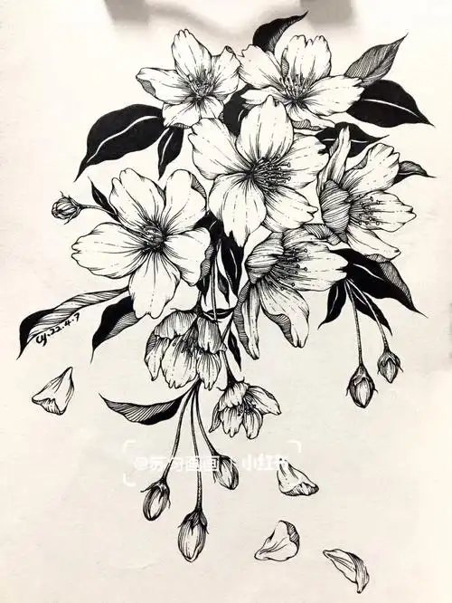 就错过了至今分不清樱花,梨花,杏花,桃花,海棠花……郭富城parapara