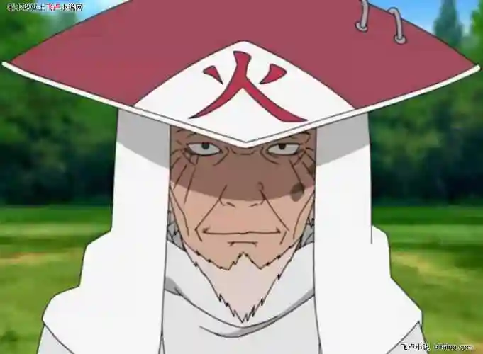 人在忍界:漩涡遗孤无敌于世:第十一章 我对火影之位没兴趣图文