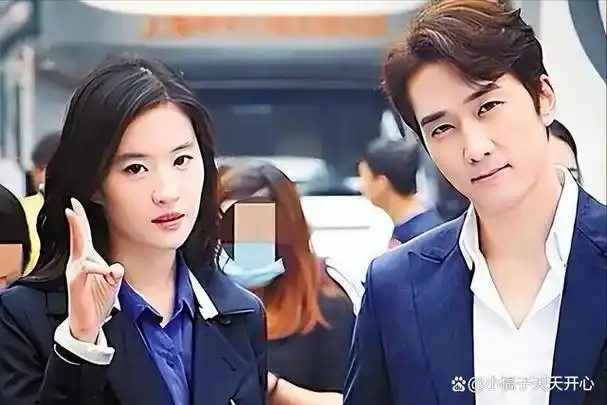 她和宋承宪的感情很短暂,回归后参与的首部大制作《花木兰》虽然宣传