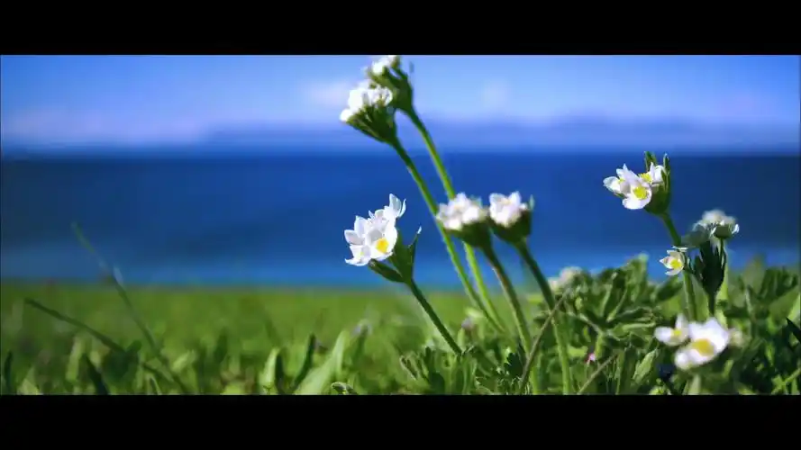 首页>攻略>北疆攻略>十月份新疆旅游报价1920_1080