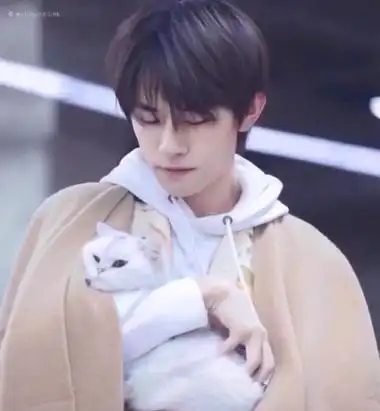 容祖儿易烊千玺情头