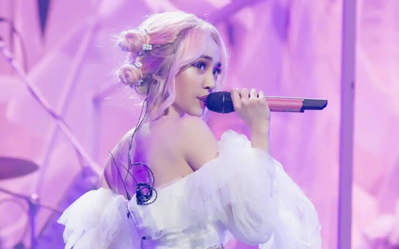 蔡依林ugly beauty世界巡回演唱会爱心雨