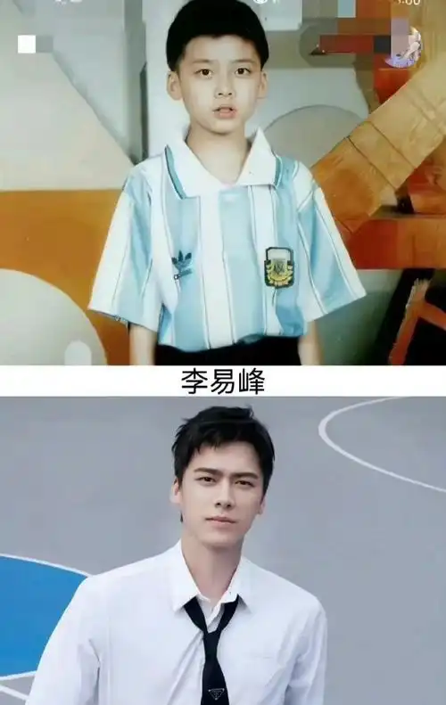 谭松韵,王一博,罗云熙,陈晓,杨洋,李易峰,angelababy杨颖,杨紫,虞书欣