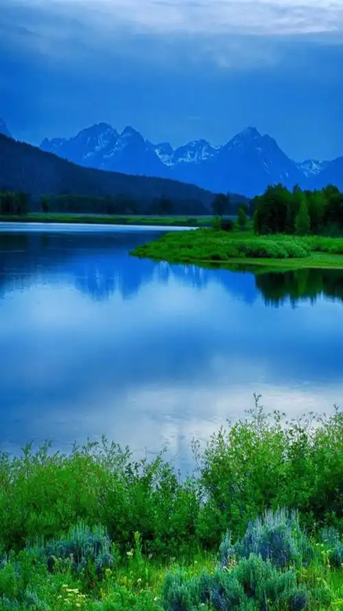 1080_1920竖版 竖屏