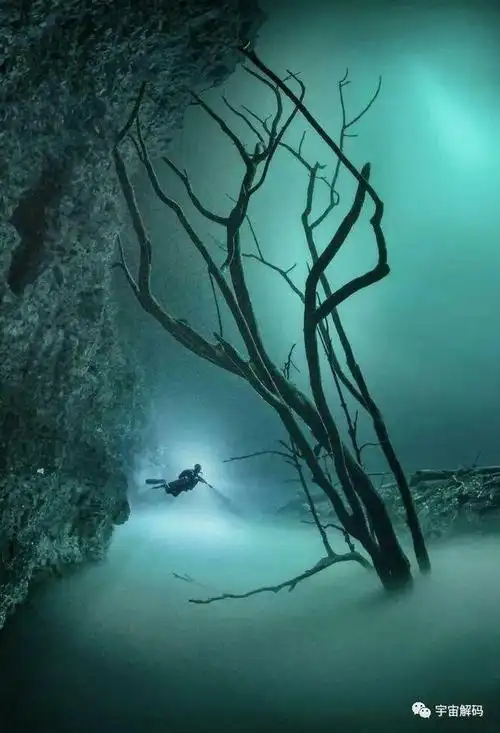 罕见的海洋恐怖图片,让你望而却步|深海|大海|海浪|南极洲_网易订阅