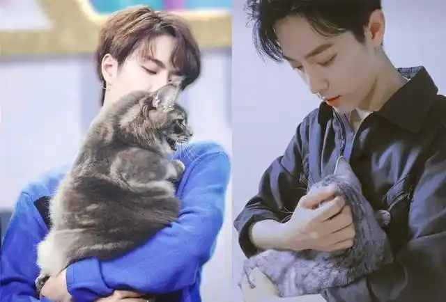 肖战公主抱vs王一博公主抱,肖战深蹲无压力,王一博戳中笑点