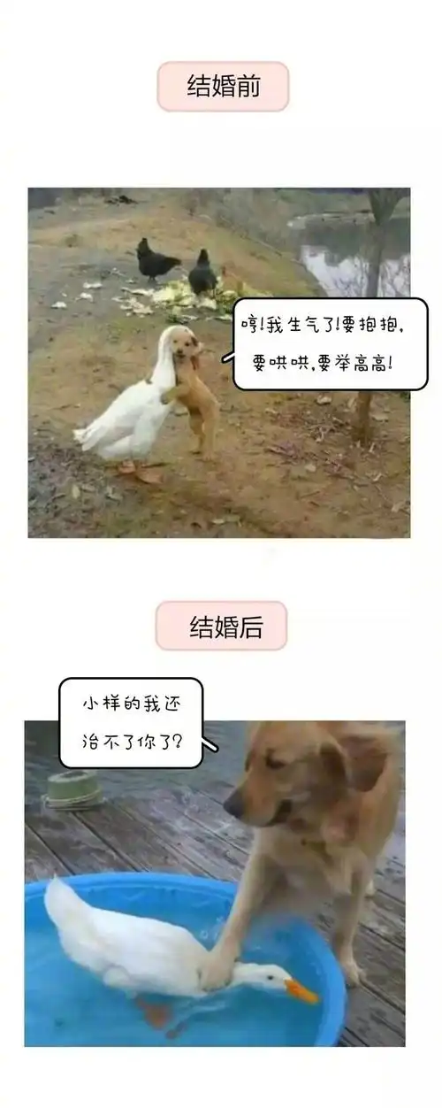 情侣和夫妻的区别 结婚前vs结婚后 #搞笑