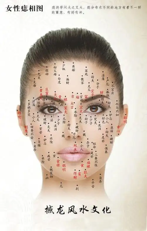 撼龙风水手相面相解读阴阳宅风水
