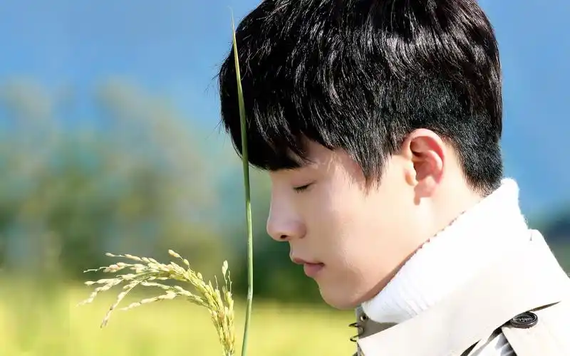 【马天宇】马天宇倾情演绎凉生片尾曲《生生不息》