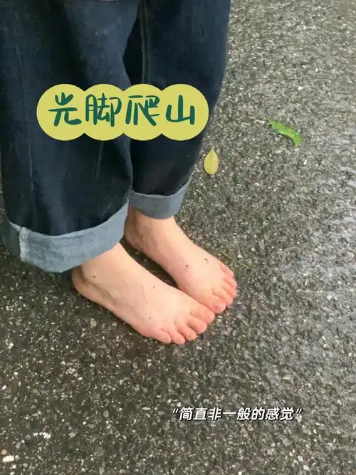 岳麓山雨天爬山