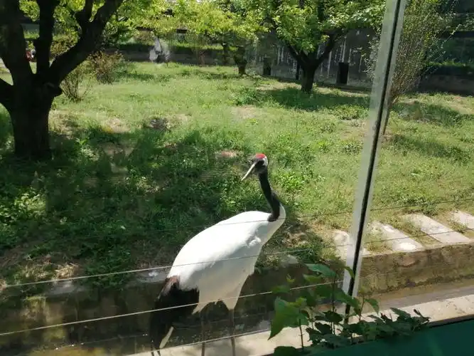 淮安市动物园游记!