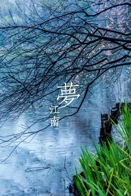 烟雨江南又一年