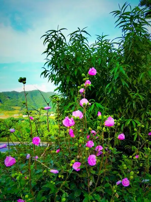 美丽奇妙的自然风景,朋友圈共享.