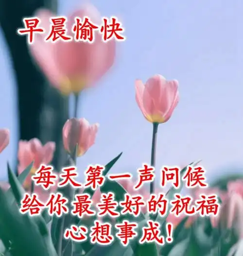 微信早上好问候语大全202012张好看的早上好图片表情